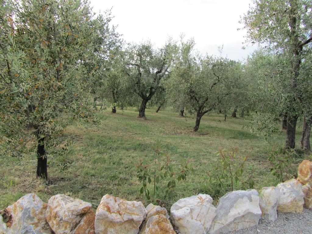 Agriturismo Borghetto Il Montino Rapolano Terme Exteriör bild