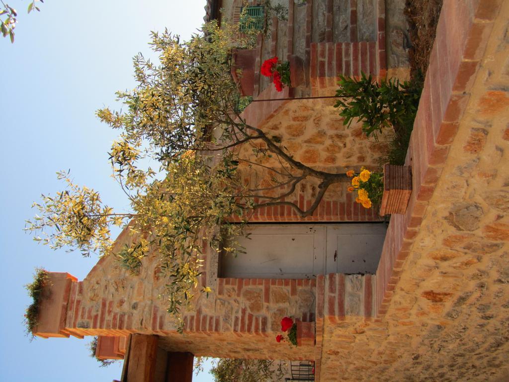 Agriturismo Borghetto Il Montino Rapolano Terme Exteriör bild
