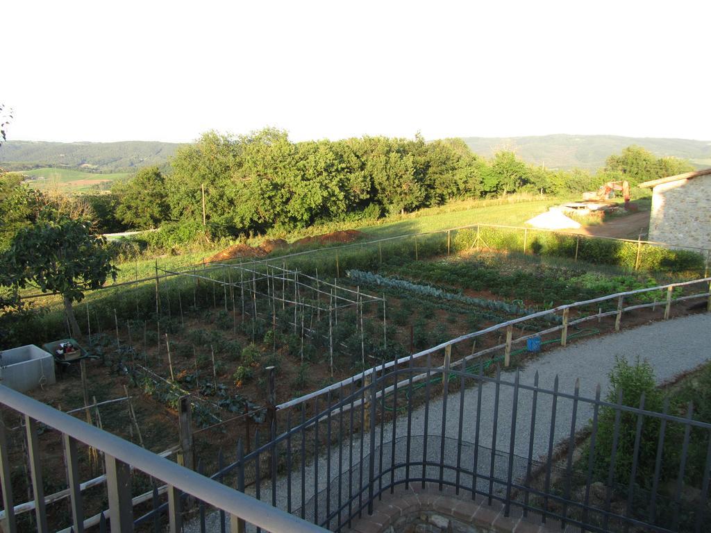 Agriturismo Borghetto Il Montino Rapolano Terme Exteriör bild