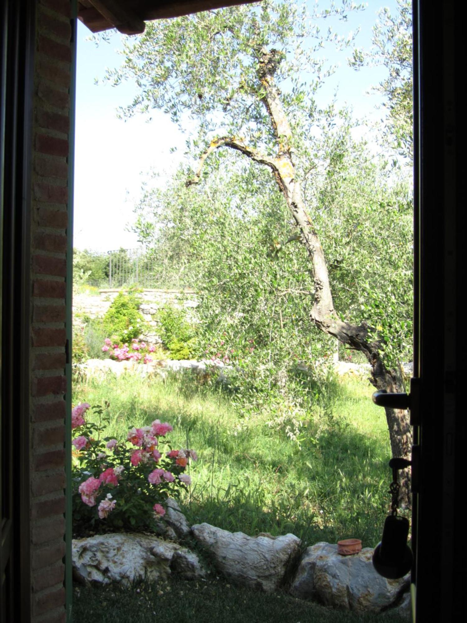 Agriturismo Borghetto Il Montino Rapolano Terme Exteriör bild