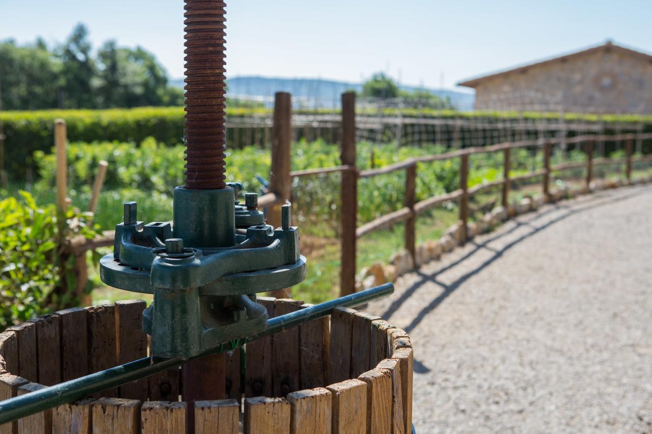 Agriturismo Borghetto Il Montino Rapolano Terme Exteriör bild