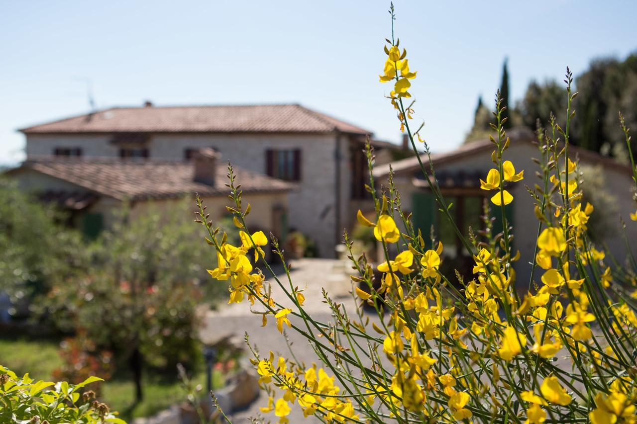 Agriturismo Borghetto Il Montino Rapolano Terme Exteriör bild