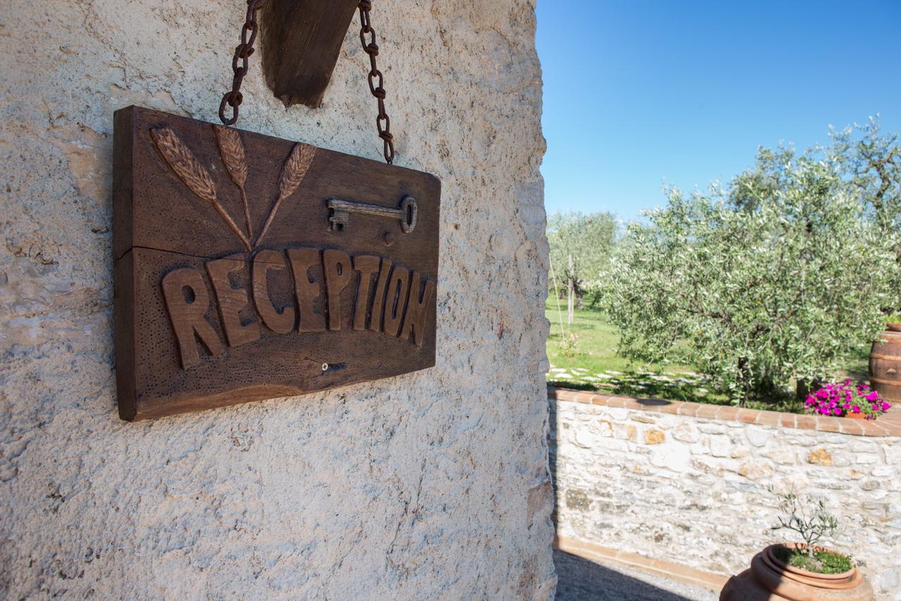 Agriturismo Borghetto Il Montino Rapolano Terme Exteriör bild